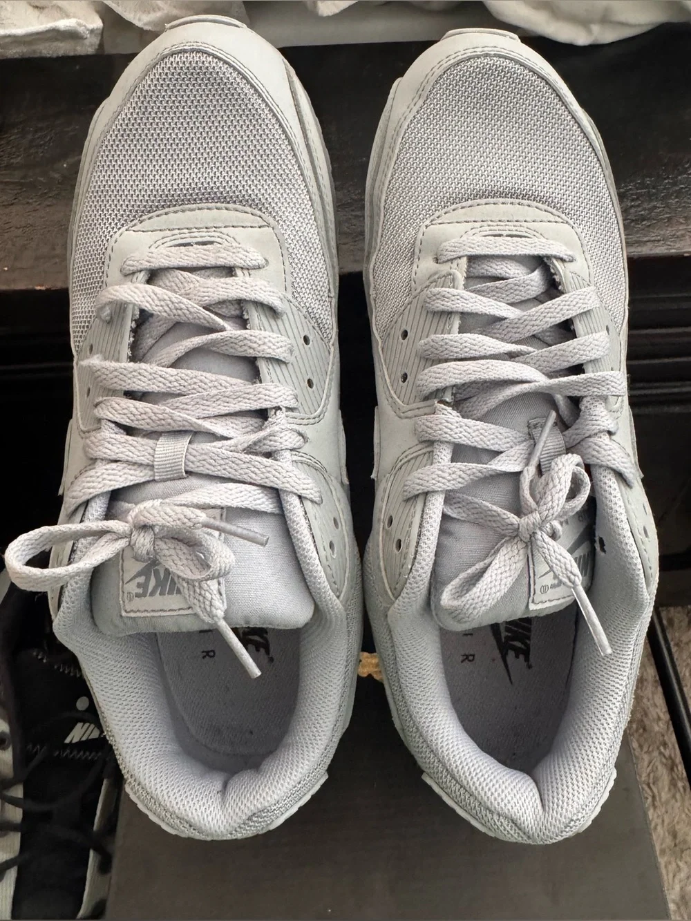 Nike Air Max 90 Sneakers in Light Grey